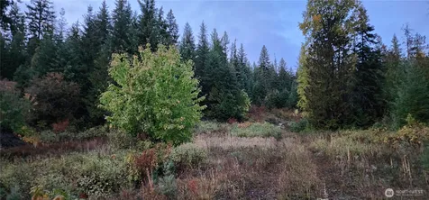 2518 A Bodie Mountain Road Colville WA 99114