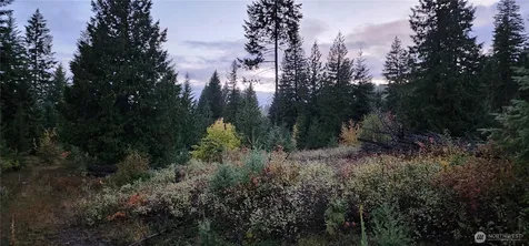 2518 A Bodie Mountain Road Colville WA 99114