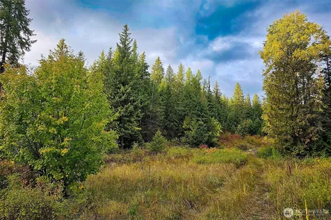 2518 A Bodie Mountain Road Colville WA 99114