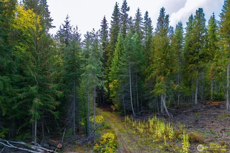 2518 A Bodie Mountain Road Colville WA 99114