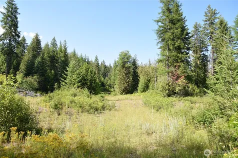 2518 A Bodie Mountain Road Colville WA 99114