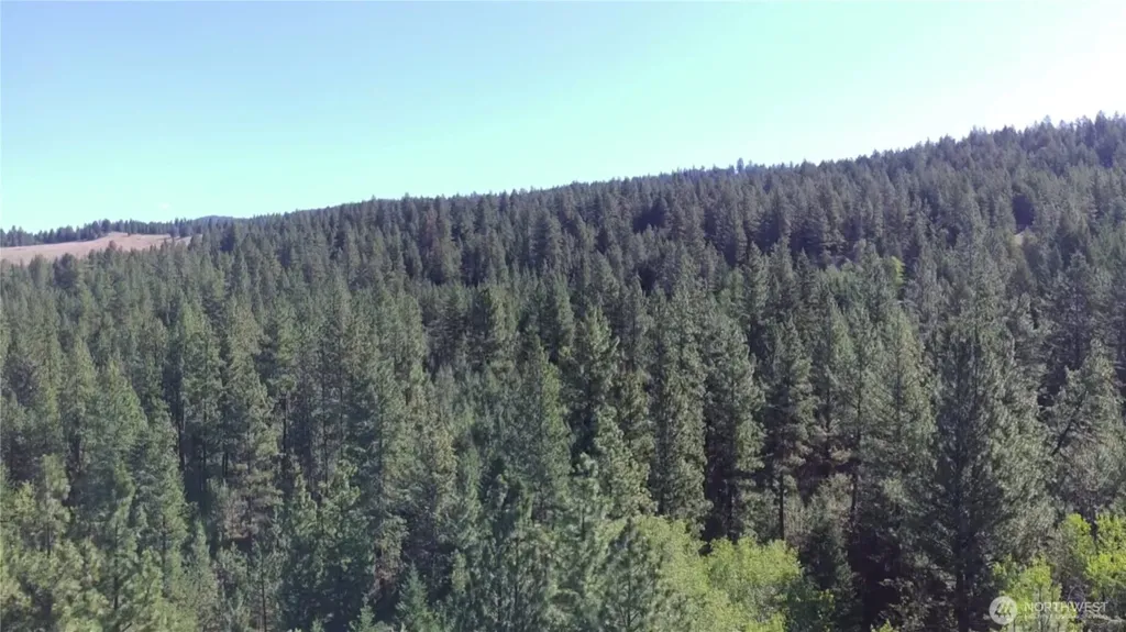 293 Blue Meadow Tonasket WA 98855