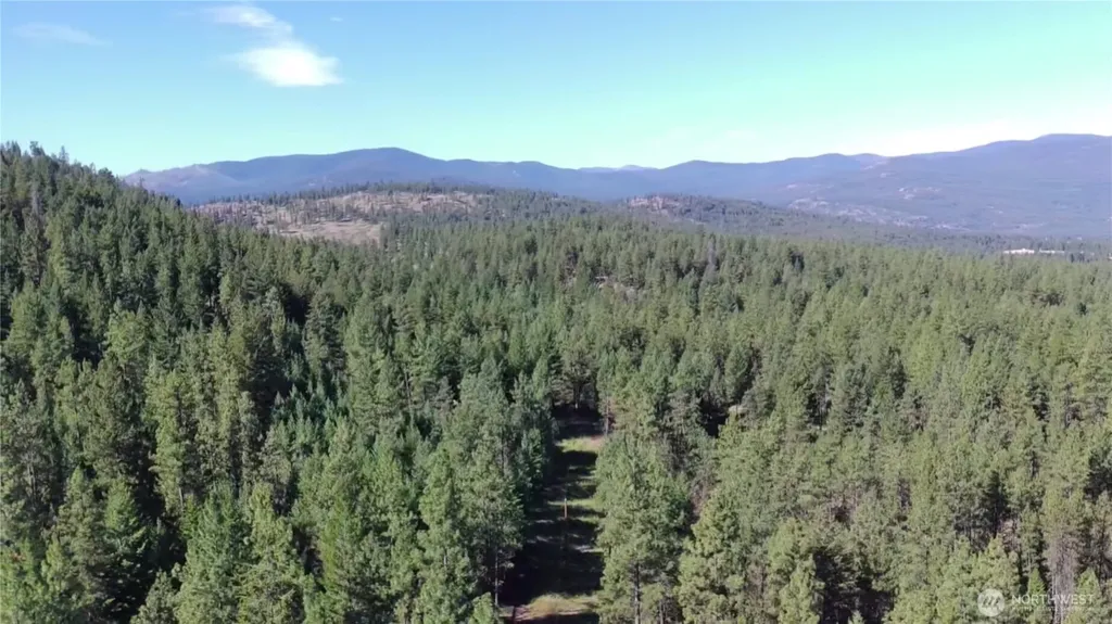 293 Blue Meadow Tonasket WA 98855