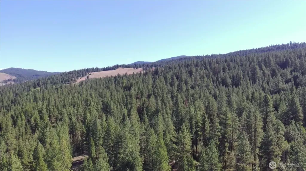 293 Blue Meadow Tonasket WA 98855