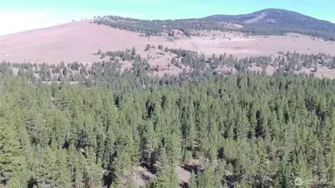 293 Blue Meadow Tonasket WA 98855