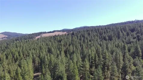 293 Blue Meadow Tonasket WA 98855