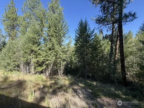 293 Blue Meadow Tonasket WA 98855