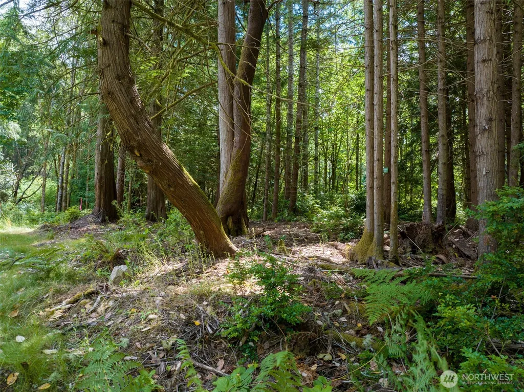 0 Bucsit Lot A Bainbridge Island WA 98110
