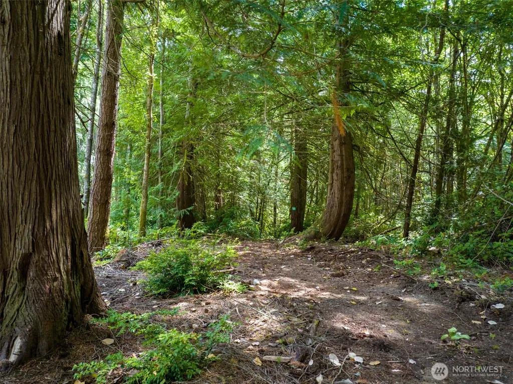 0 Bucsit Lot A Bainbridge Island WA 98110