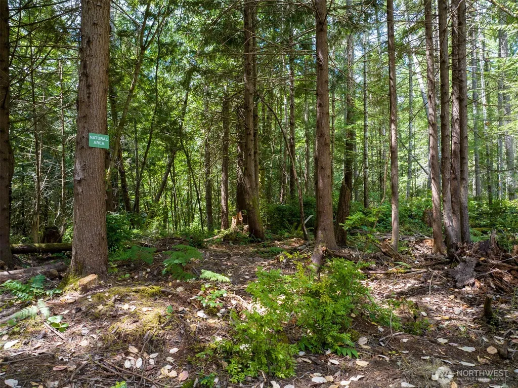 0 Bucsit Lot A Bainbridge Island WA 98110