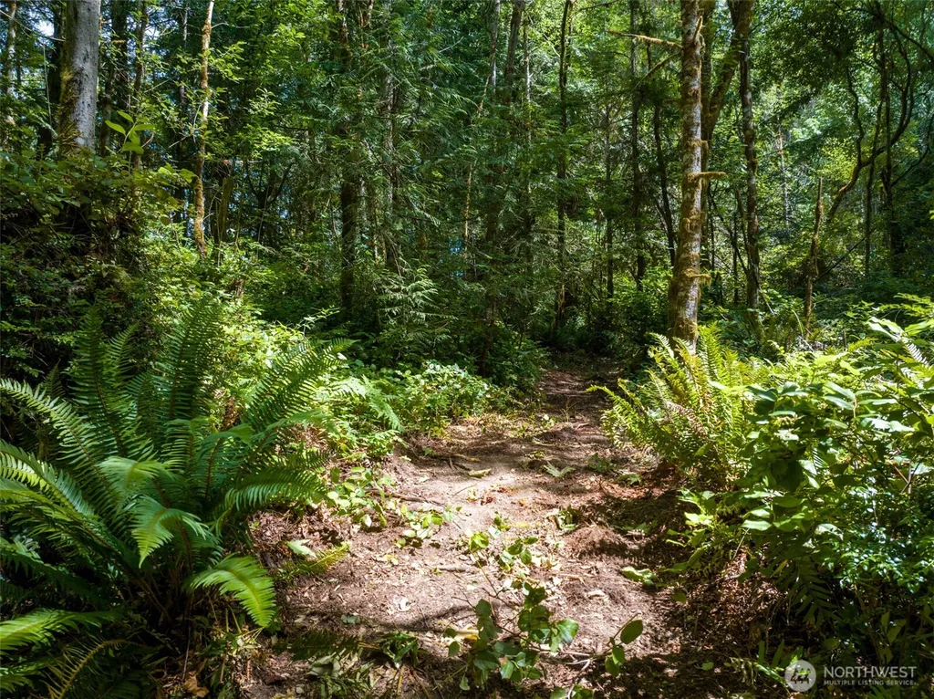 0 Bucsit Lot A Bainbridge Island WA 98110