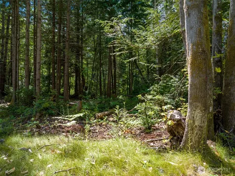 0 Bucsit Lot A Bainbridge Island WA 98110