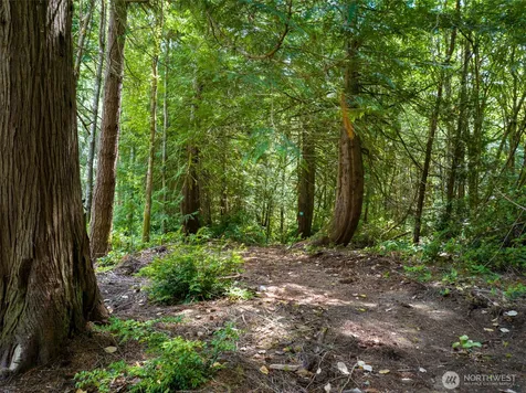 0 Bucsit Lot A Bainbridge Island WA 98110