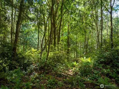 0 Bucsit Lot A Bainbridge Island WA 98110