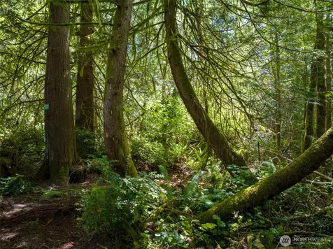 0 Bucsit Lot A Bainbridge Island WA 98110