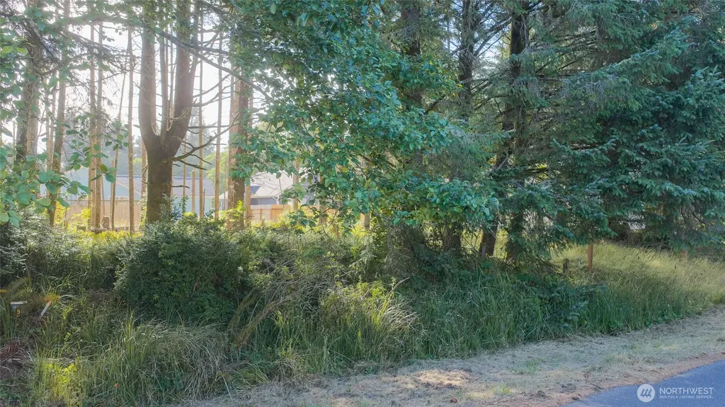 119 Olympic View Avenue NE Ocean Shores WA 98569