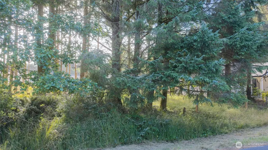 119 Olympic View Avenue NE Ocean Shores WA 98569