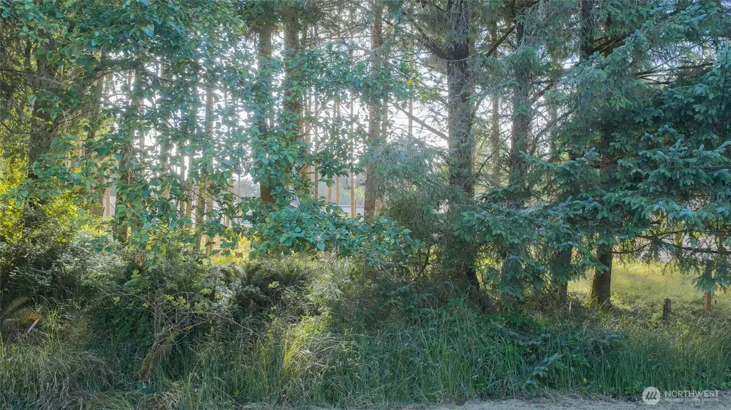 119 Olympic View Avenue NE Ocean Shores WA 98569