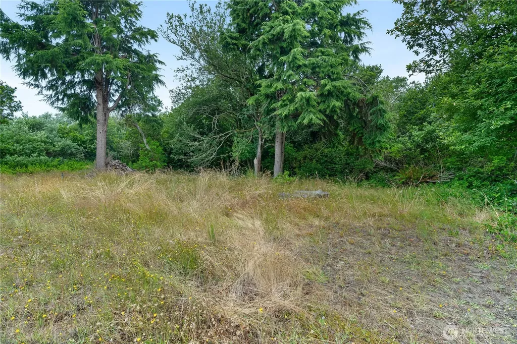 521 Point Brown Avenue SW Ocean Shores WA 98569