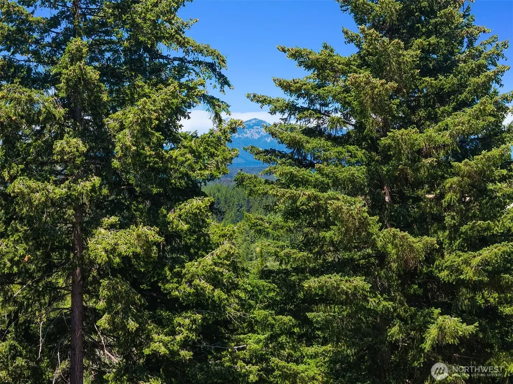 391 Canyon Heights Drive Cle Elum WA 98922