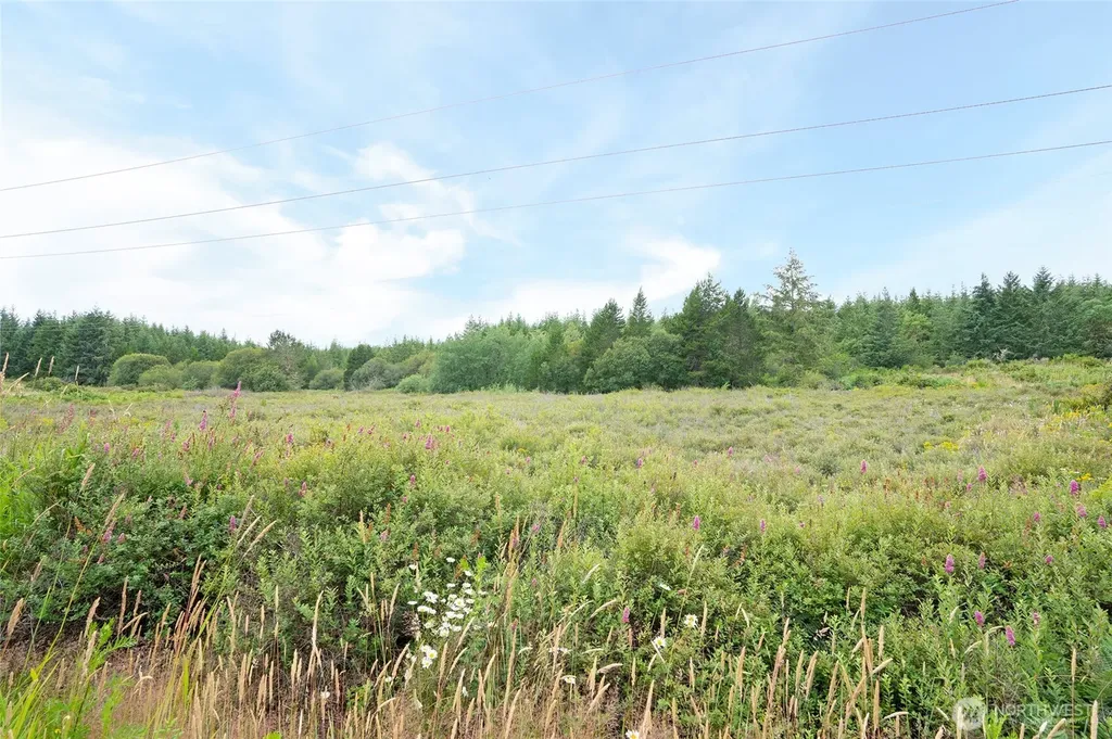 0 E Tepee Lane Belfair WA 98528