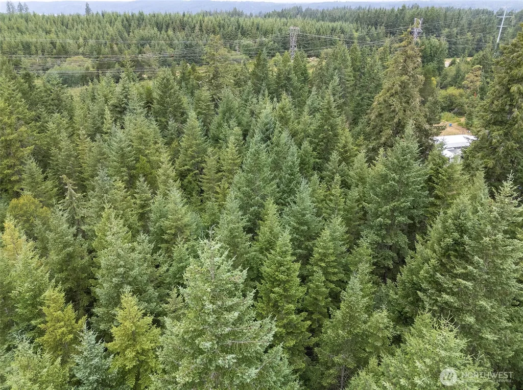 0 E Tepee Lane Belfair WA 98528