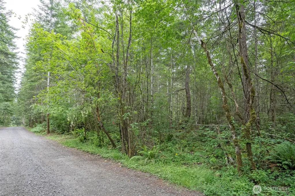 0 E Tepee Lane Belfair WA 98528