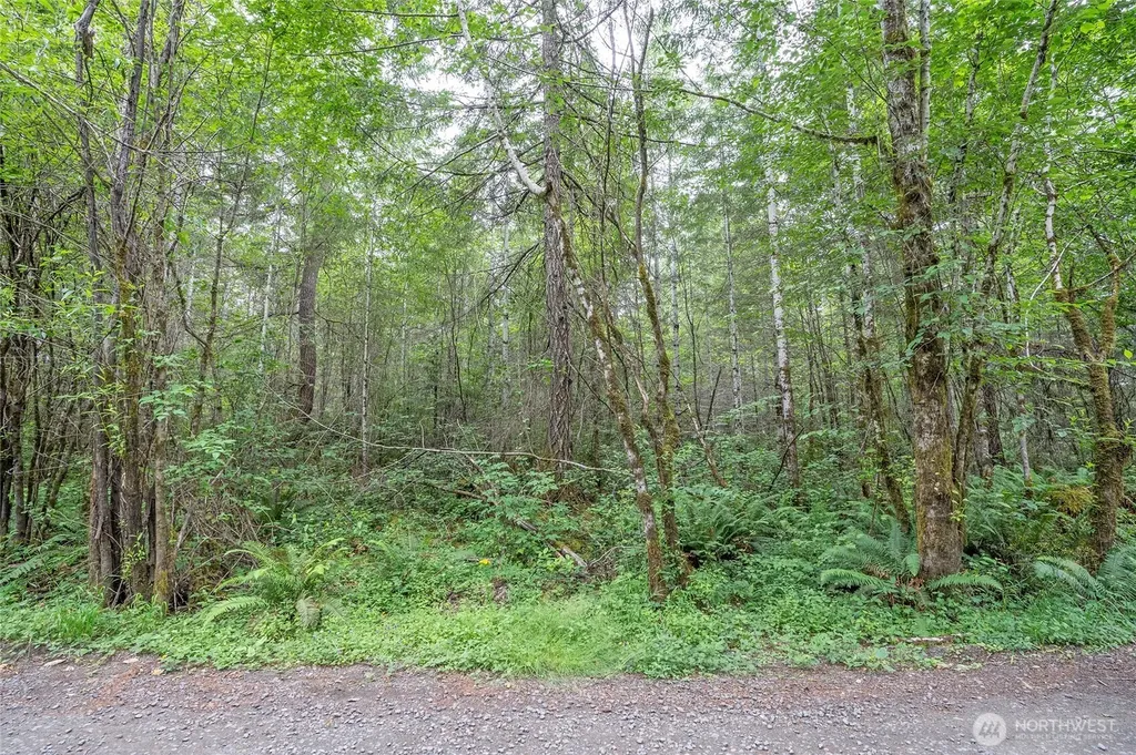 0 E Tepee Lane Belfair WA 98528
