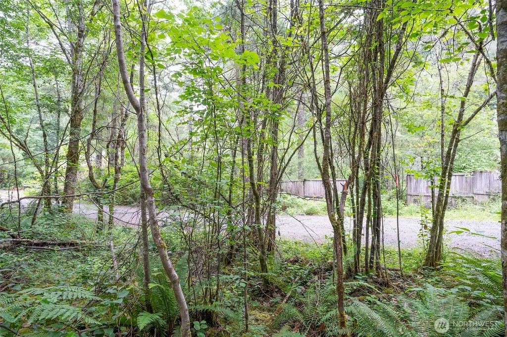0 E Tepee Lane Belfair WA 98528