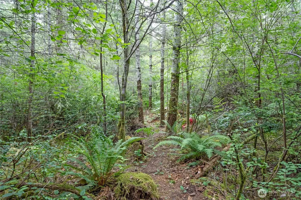 0 E Tepee Lane Belfair WA 98528