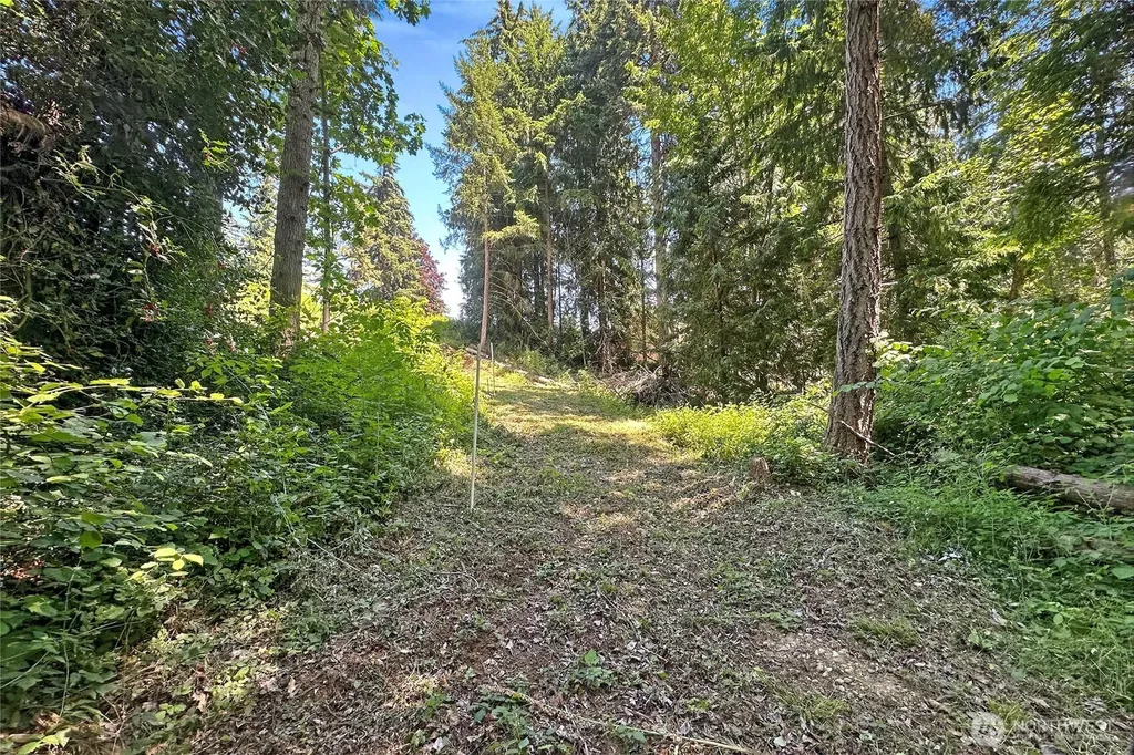 4302 W Tapps Drive E Lake Tapps WA 98391