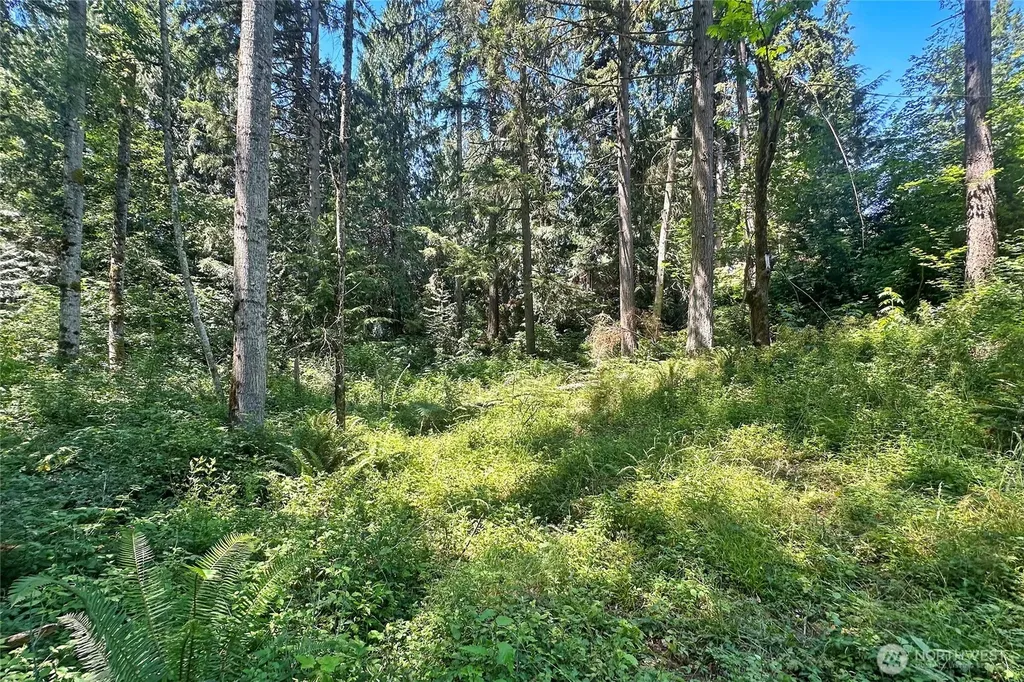 4302 W Tapps Drive E Lake Tapps WA 98391