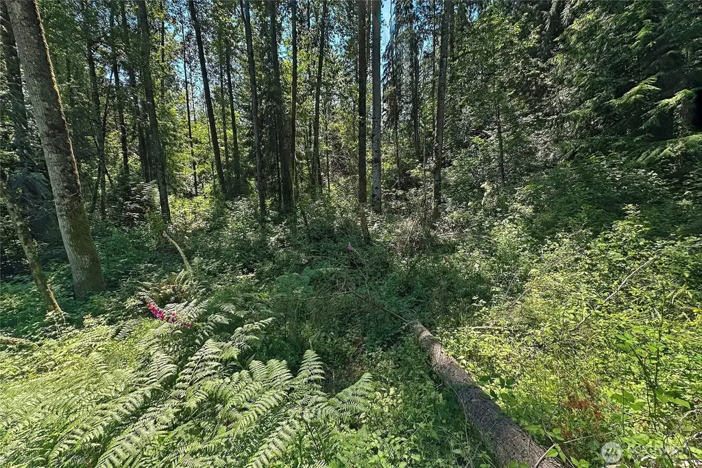 4302 W Tapps Drive E Lake Tapps WA 98391