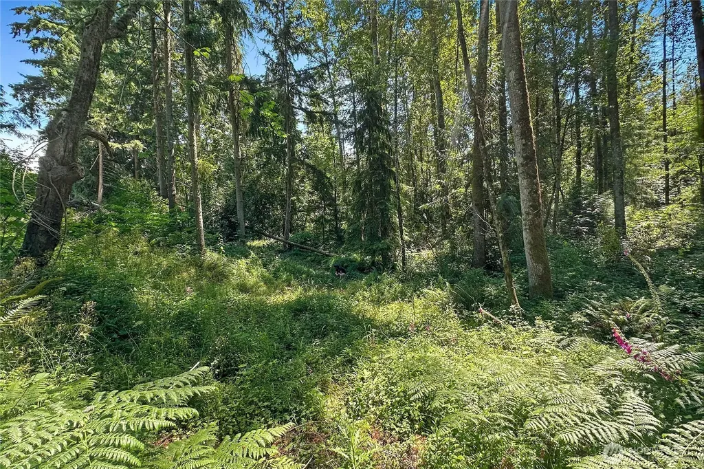 4302 W Tapps Drive E Lake Tapps WA 98391
