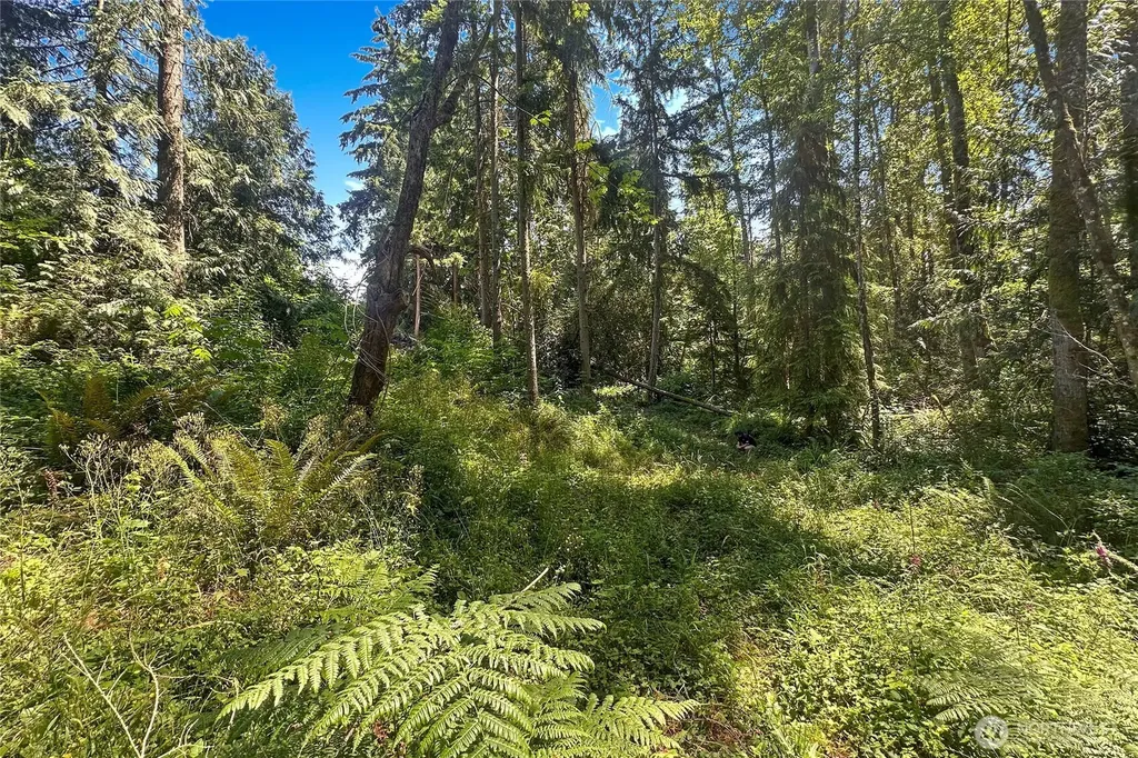 4302 W Tapps Drive E Lake Tapps WA 98391