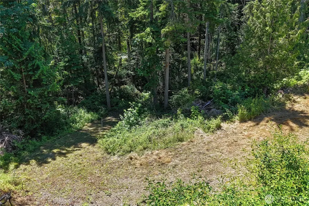 4302 W Tapps Drive E Lake Tapps WA 98391