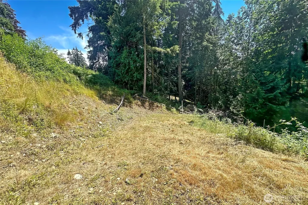 4302 W Tapps Drive E Lake Tapps WA 98391