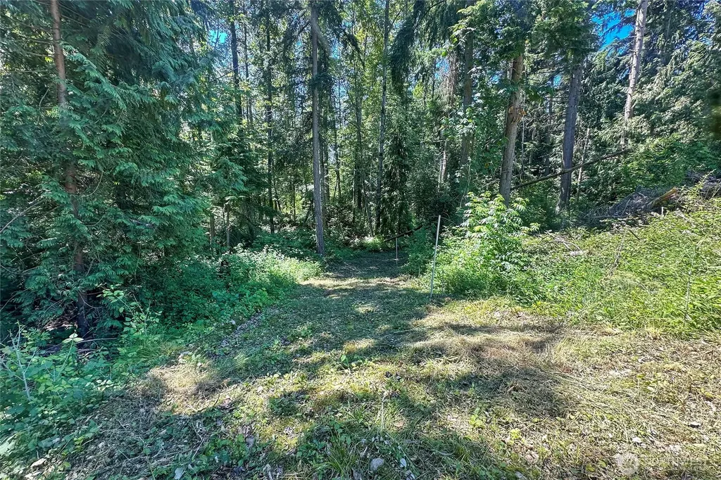 4302 W Tapps Drive E Lake Tapps WA 98391