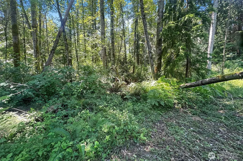 4302 W Tapps Drive E Lake Tapps WA 98391