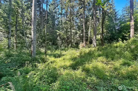 4302 W Tapps Drive E Lake Tapps WA 98391