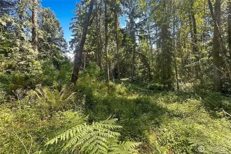 4302 W Tapps Drive E Lake Tapps WA 98391