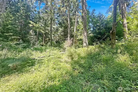 4302 W Tapps Drive E Lake Tapps WA 98391