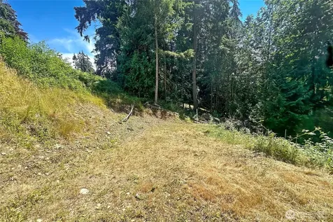 4302 W Tapps Drive E Lake Tapps WA 98391