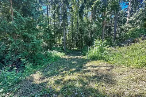 4302 W Tapps Drive E Lake Tapps WA 98391