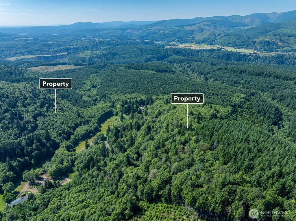 461 Kjesbu Road Silver Creek WA 98585