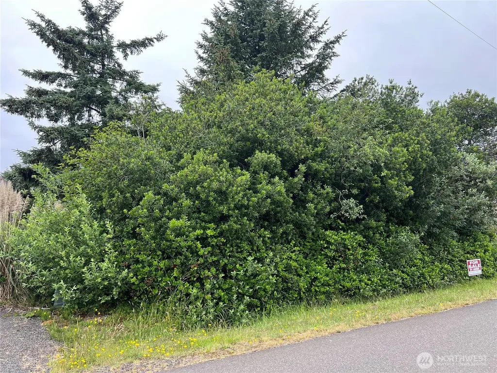 342 N Razor Clam Drive Ocean Shores WA 98569