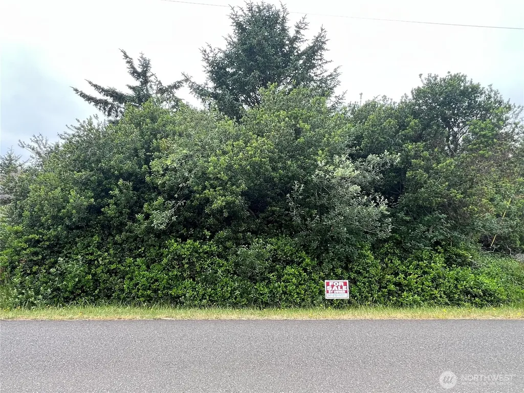 342 N Razor Clam Drive Ocean Shores WA 98569