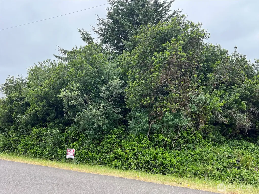 342 N Razor Clam Drive Ocean Shores WA 98569