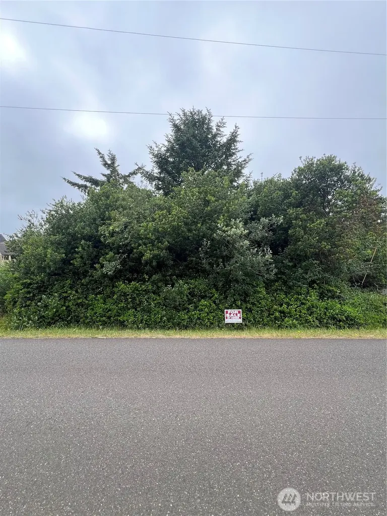 342 N Razor Clam Drive Ocean Shores WA 98569