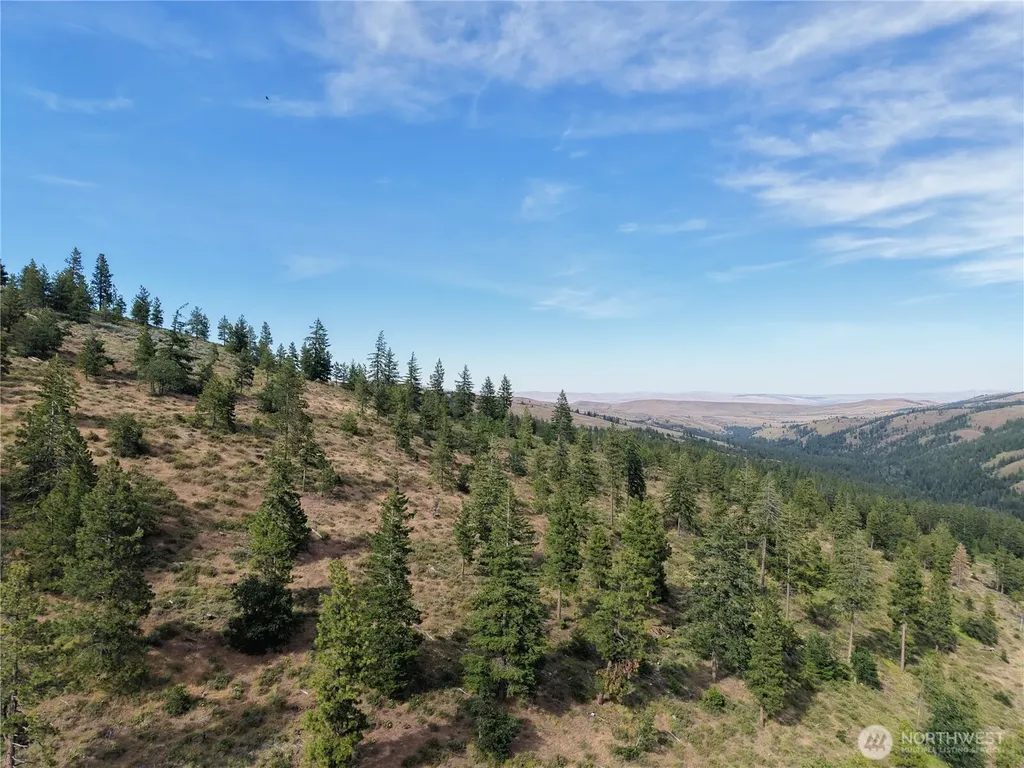 1524 Nasty Creek Road Yakima WA 98903